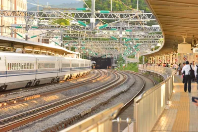 DSC_3780 (Large).JPG